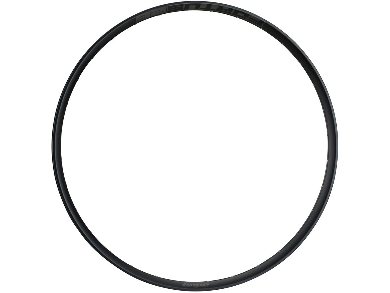 HOPE Jante Fortus 26 Disc 29" – Image 2