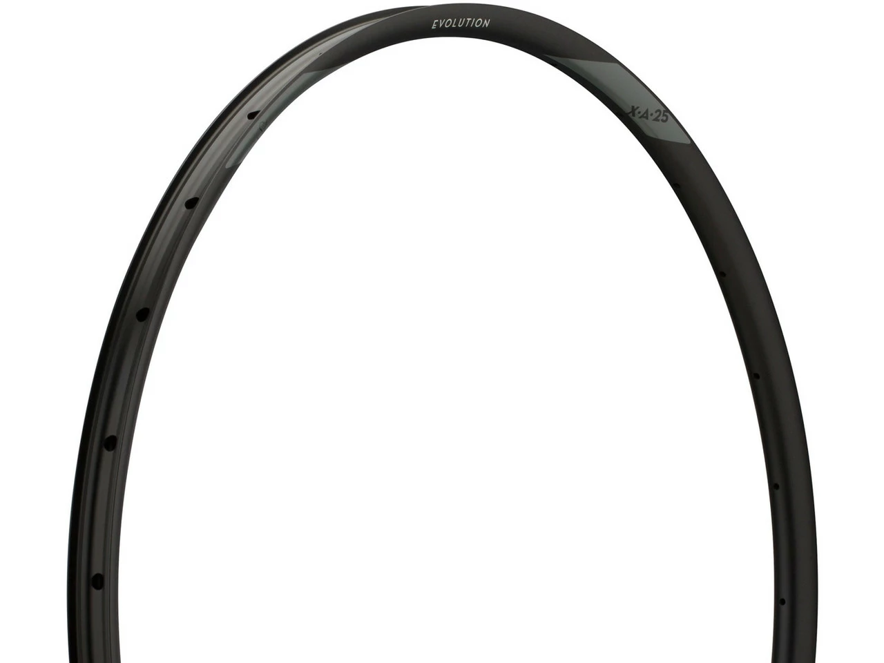 Newmen Jante Evolution SL X.A.25 Disc 29"