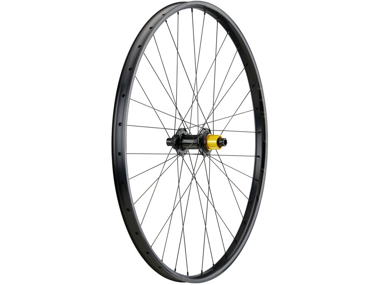 Tune Set De Roues Race 29 Endurance Boost Disc Center Lock 29" - Fin Série – Image 4